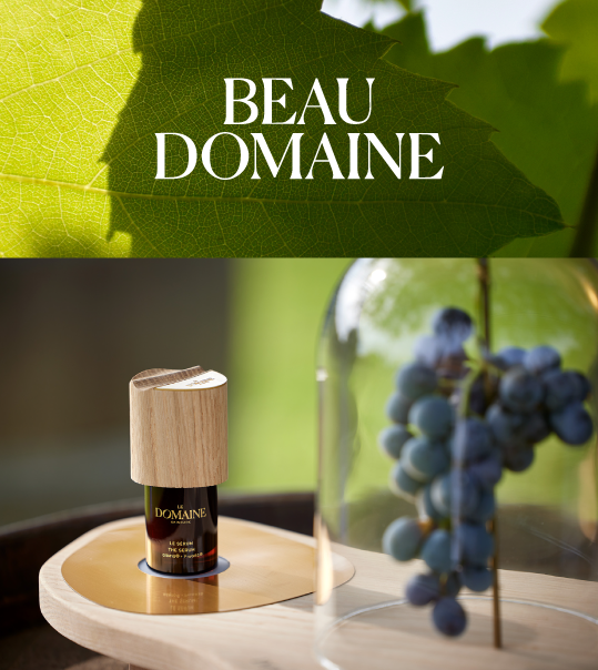 Le BeauDomaineCoverImage