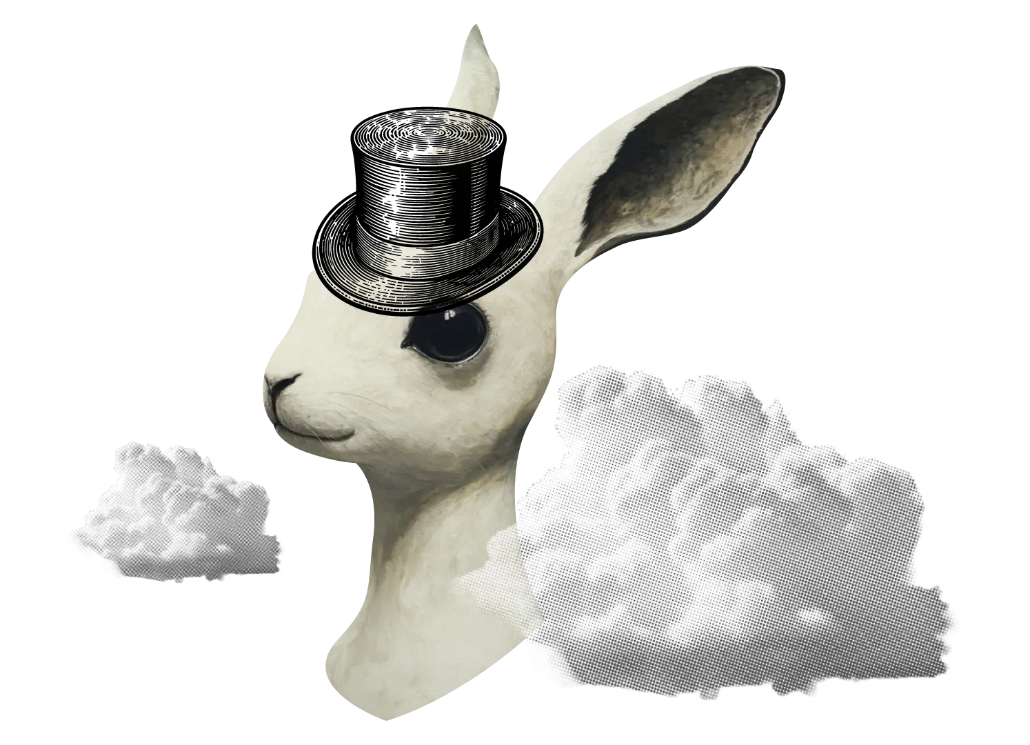 Trace Brand Building Trace Brand Building